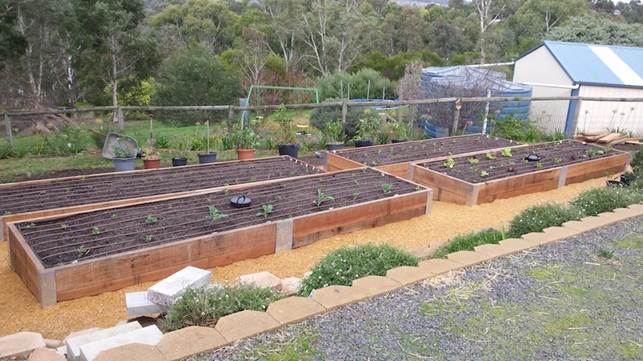 Raised bed vegetable garden installation in Mount Barker Adelaide South Australia